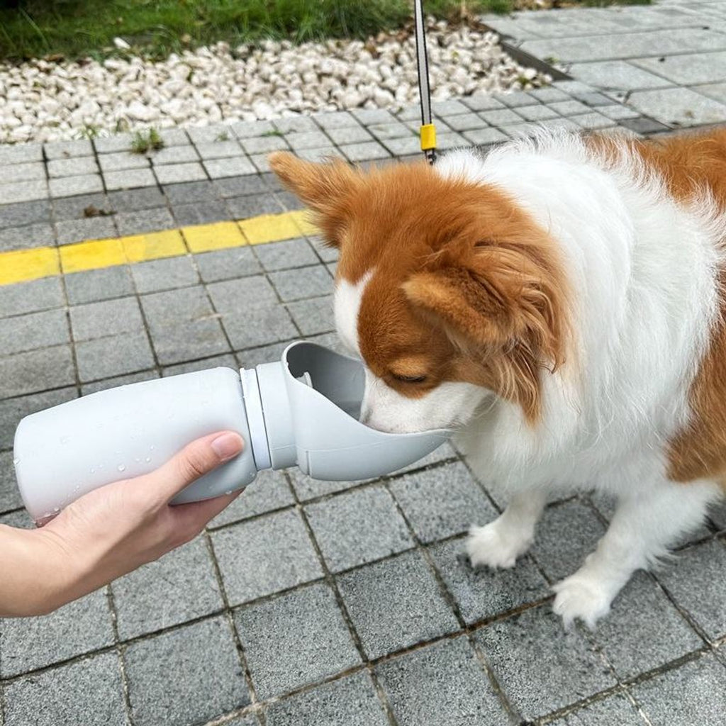 Gadgetzan® Opvouwbare Drinkfles voor Huisdieren - Draagbare Reiswaterfles met Drinkbakje - Grijs